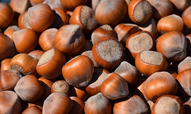 42. Gönen’deki İş Kurma Fırsatları: Nasıl Başlanır? 42. Gönen’deki İş Kurma Fırsatları: Nasıl Başlanır?